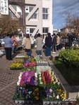 image0.jpeg