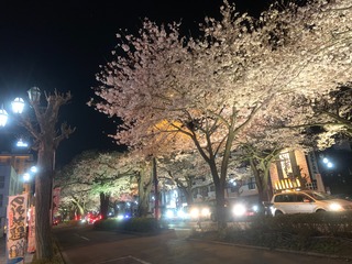 1554767364827.jpeg