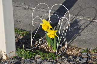 DSC_0004.JPG