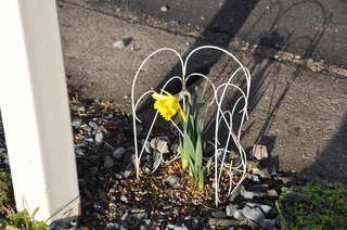 DSC_0004.JPG