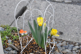 DSC_0005.JPG