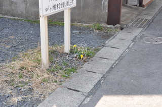 DSC_0008.JPG