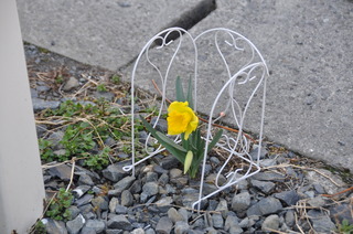 DSC_0033.JPG
