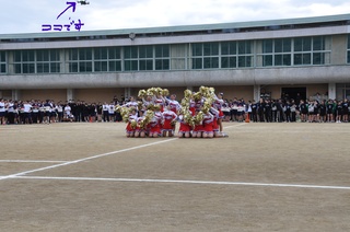 DSC_0045_LI.jpg