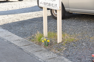 DSC_0057.JPG