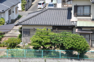 DSC_0365.JPG