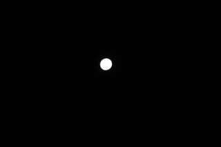 DSC_0701.JPG