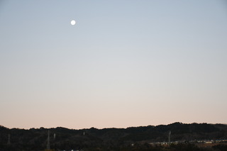DSC_0740.JPG