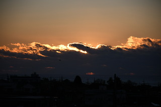 DSC_0755.JPG