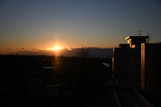 DSC_0773.JPG