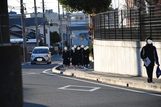 DSC_0785(1).JPG