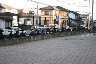 DSC_0857(1).JPG