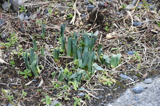DSC_0879.JPG