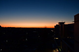 DSC_1164.JPG
