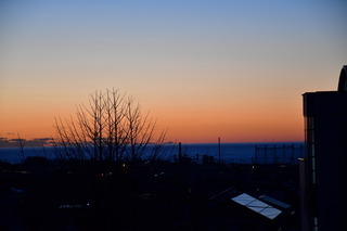 DSC_1170.JPG