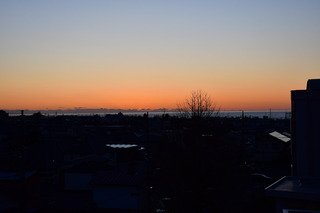 DSC_1178.JPG