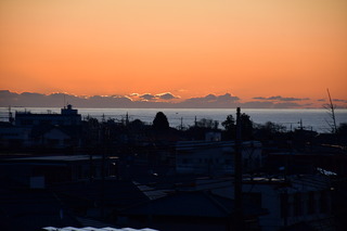 DSC_1179.JPG