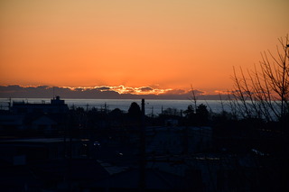 DSC_1185.JPG