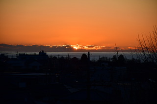 DSC_1191.JPG