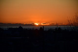 DSC_1195.JPG