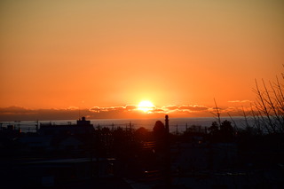 DSC_1204.JPG