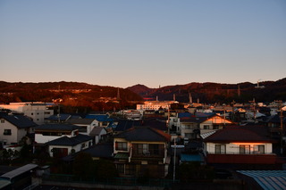 DSC_1221.JPG