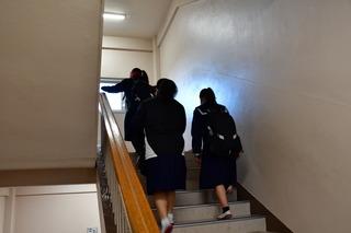 DSC_1261.JPG