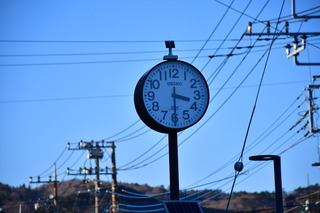 DSC_1324.JPG