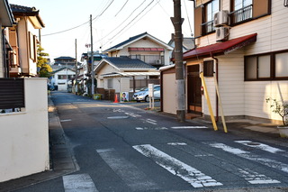 DSC_1399.JPG