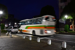 DSC_1505.JPG