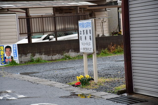 DSC_1512.JPG