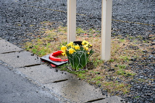 DSC_1513.JPG