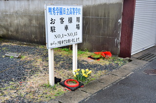 DSC_1517.JPG