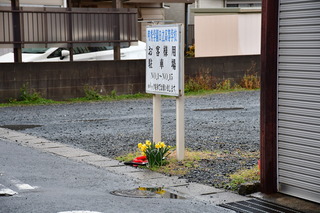 DSC_1558.JPG