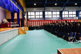 DSC_3397.JPG