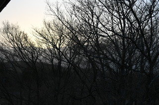 DSC_3862.JPG