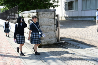 DSC_5242.JPG