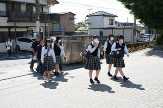 DSC_5678.JPG
