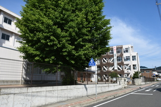 DSC_5790.JPG