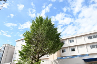 DSC_6633.JPG