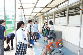 DSC_6908.JPG