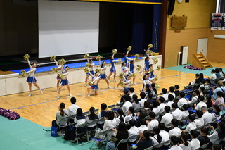 DSC_7540.JPG