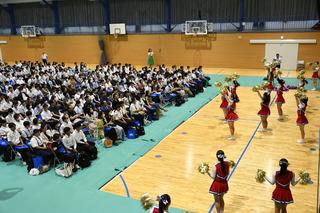 DSC_7782.JPG