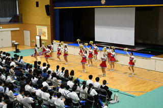 DSC_7791.JPG