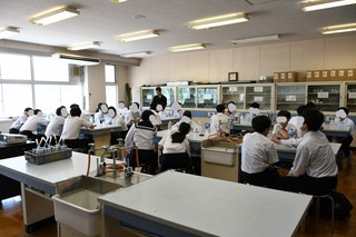DSC_7987.JPG