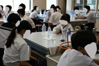 DSC_7989(1).JPG