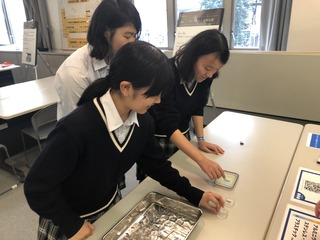 IMG_3069.jpeg