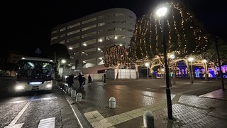 IMG_6377.jpeg