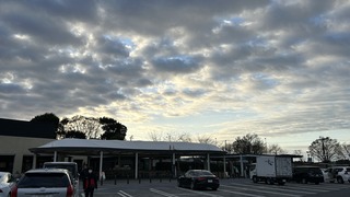 IMG_6391.jpeg