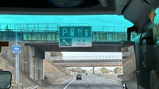 IMG_6395.jpeg